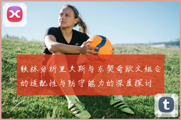 铁林分析里夫斯与东契奇欧文组合的适配性与防守能力的深度探讨