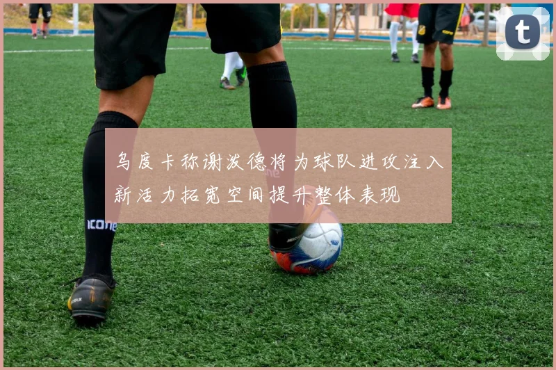 乌度卡称谢泼德将为球队进攻注入新活力拓宽空间提升整体表现